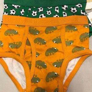 Boys Gymboree Briefs.  S 5/6